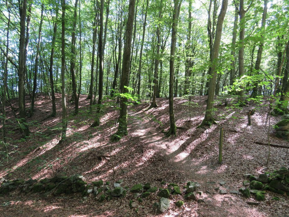 Strantemolla-Forsemolla-Garsnas必去景点