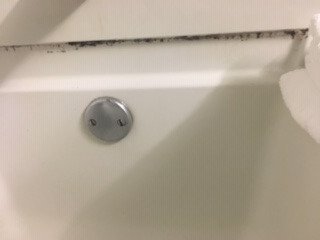 Best Western Plus Wilmington/wrightsville Beach-浴室