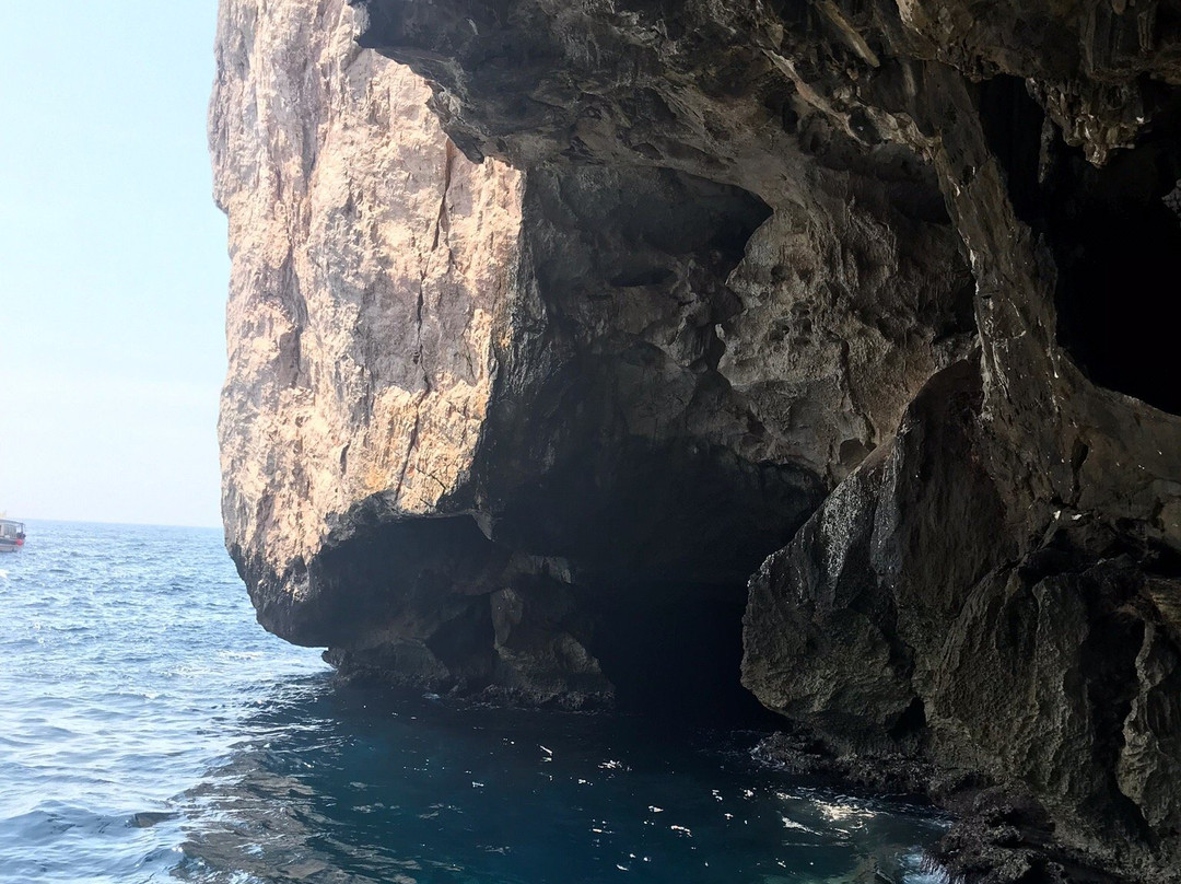 Neptune's Grotto景点图片
