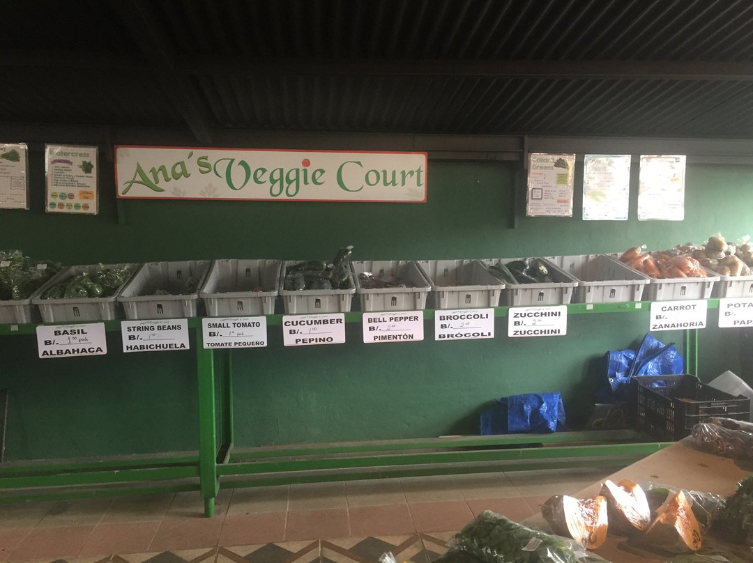 Boquete Community Market-波魁特必去景点