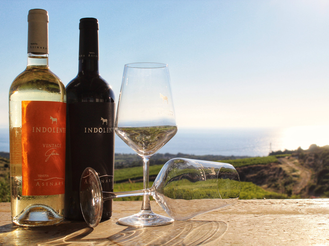 Tenuta Asinara Bistrot & Degustazione-Sorso必去景点