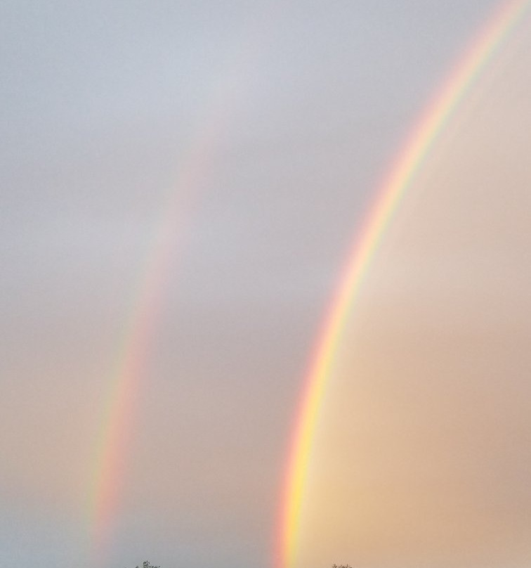 Rood Bridge Park-希尔斯伯勒必去景点