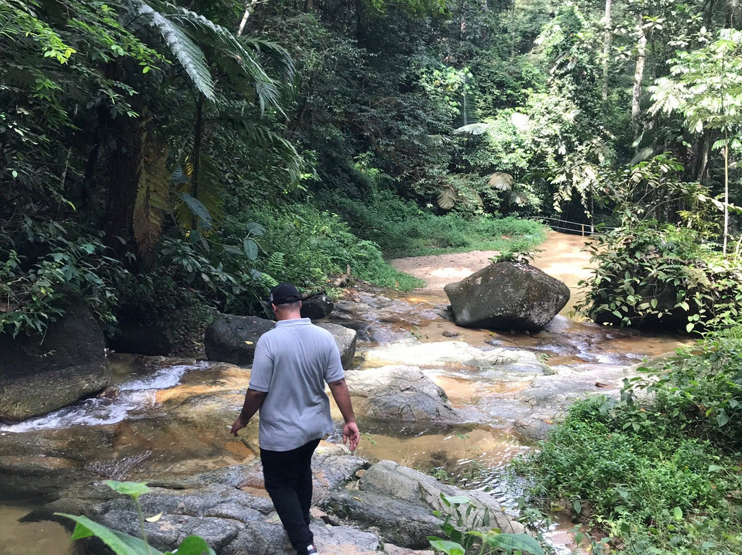 FRIM -Forest Research Institute of Malaysia景点图片