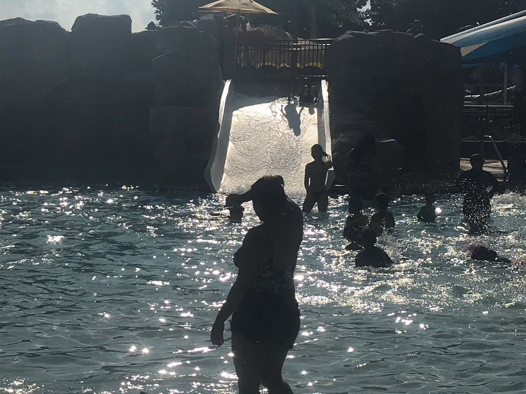 Cameron Run Regional Park-亚历山德里亚必去景点