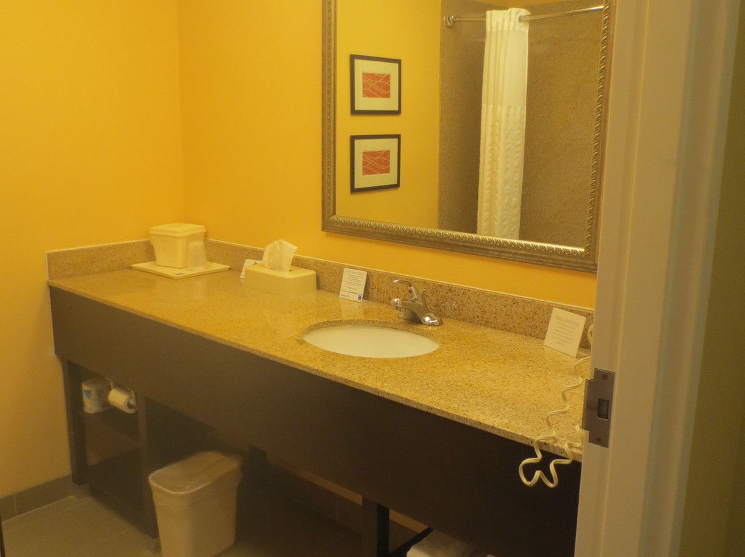 Comfort Inn & Suites主图