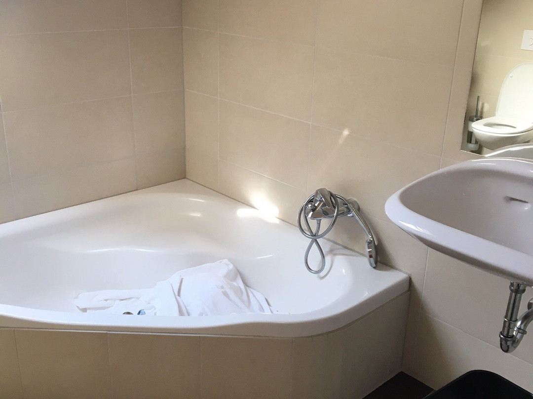 Boutique Hotel Erla主图