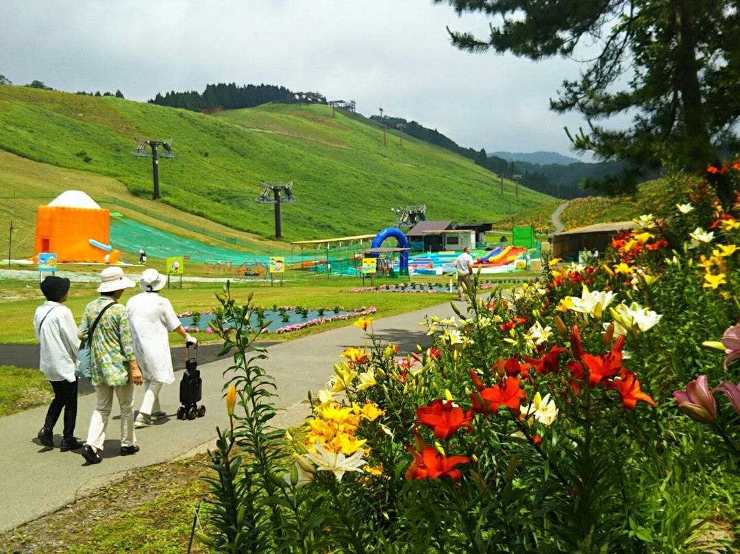 Hakodateyama Ski Park景点图片