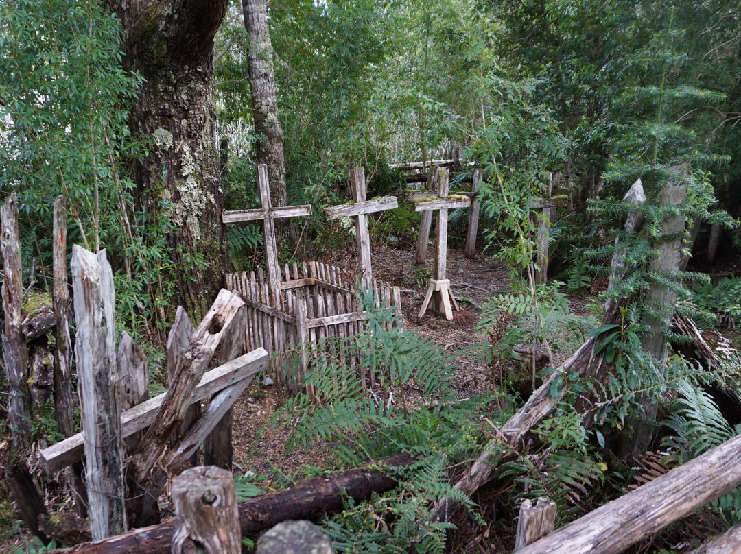 Isla de los Muertos-Tortel必去景点