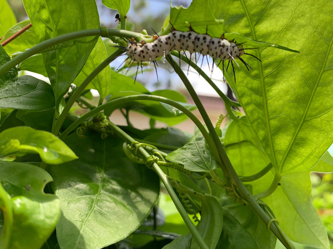 Children's Science Explorium-博卡拉顿必去景点