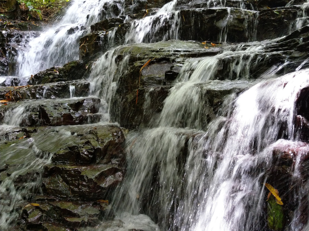 Waterfall Villas主图