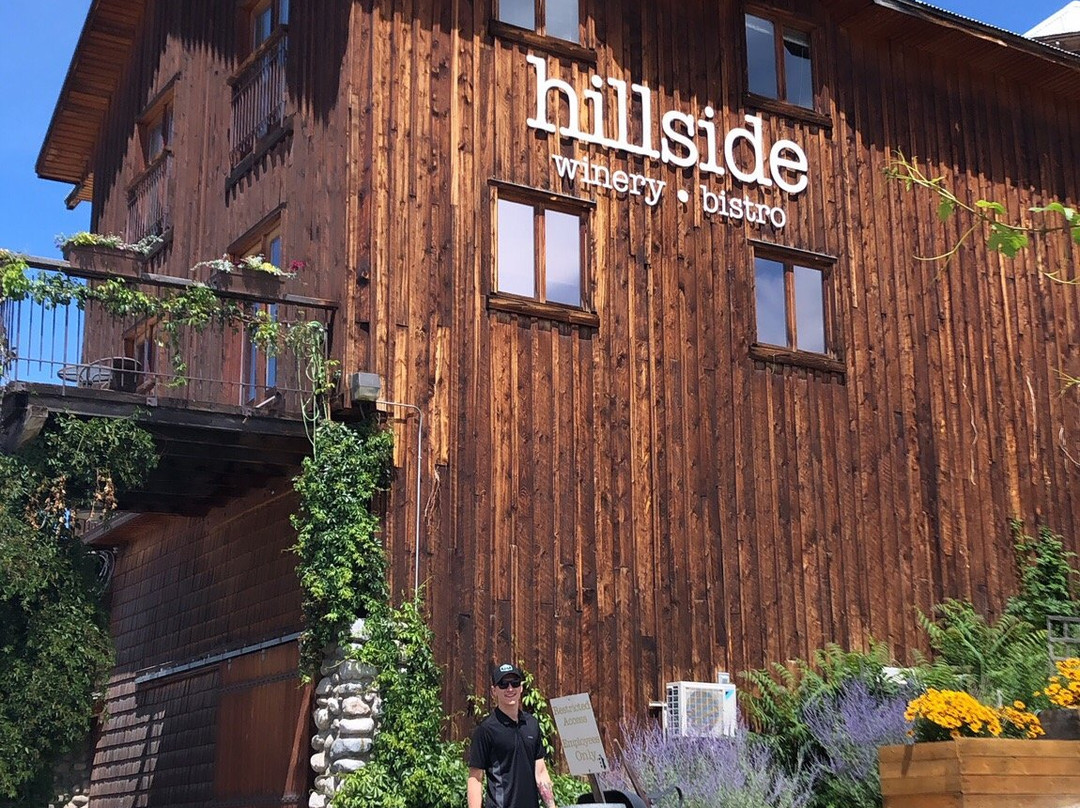 Hillside Winery景点图片