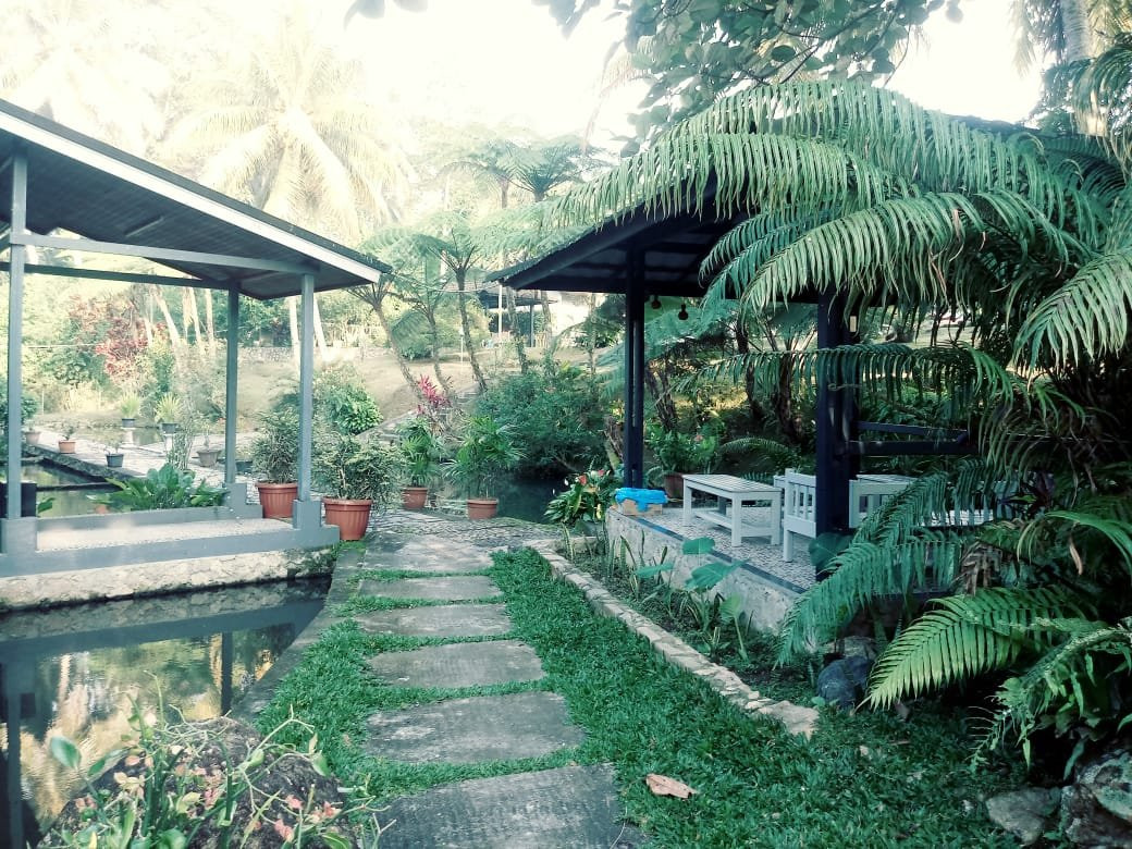 Hotel Kolivera主图