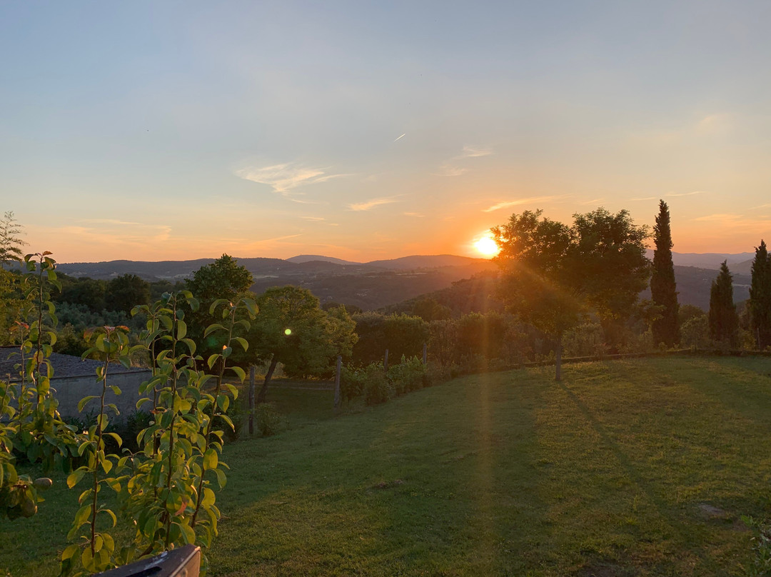 Terre di San Gorgone