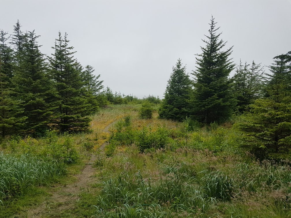 Alaska View Lodge主图