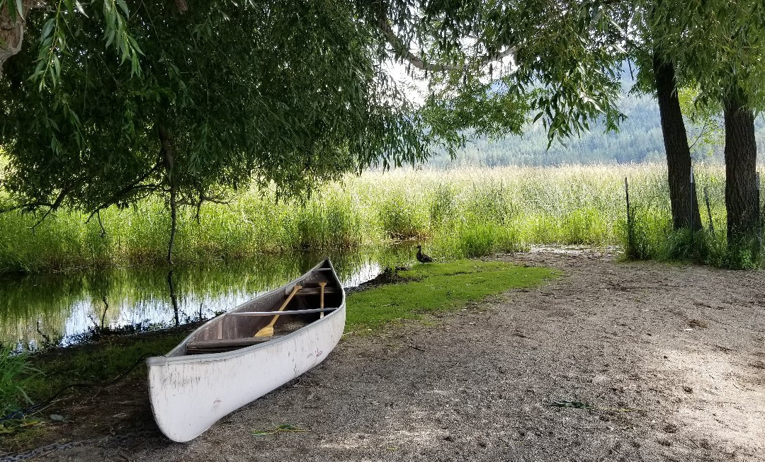 Liberty Lake Regional Park景点图片
