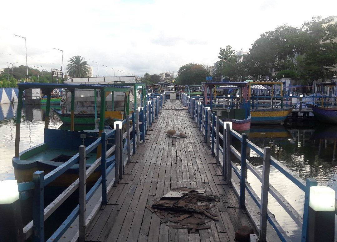 Floating Market Patuli景点图片