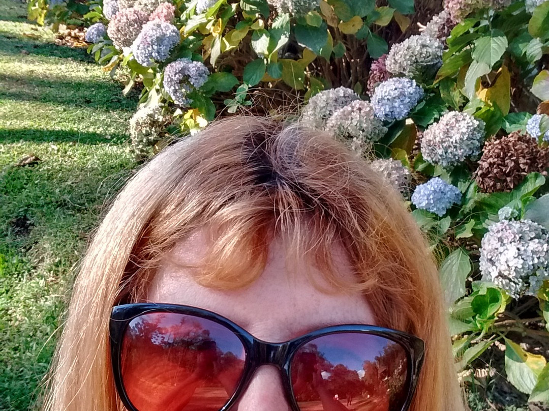 Bosque do Gato de Botas-蒙特贝尔德必去景点