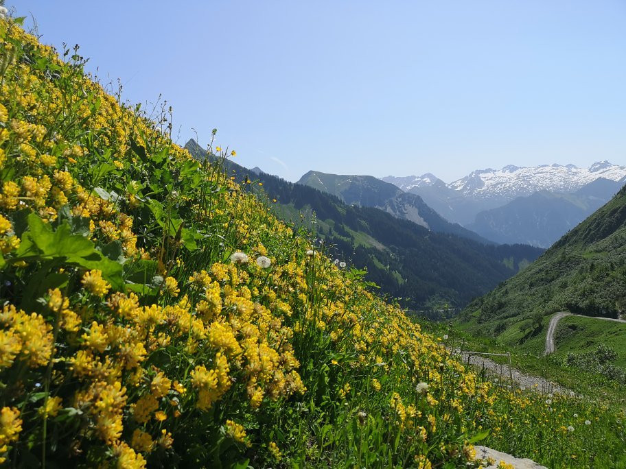 Blumen-Wander-Lehrpfad Faschina景点图片