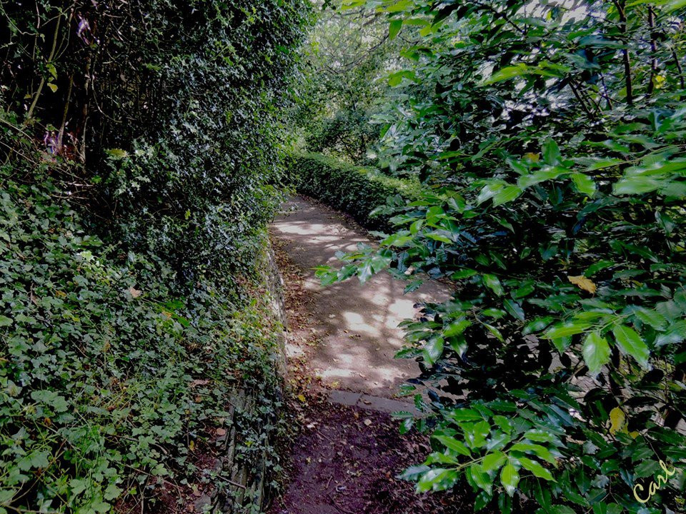 Bailey Hill景点图片