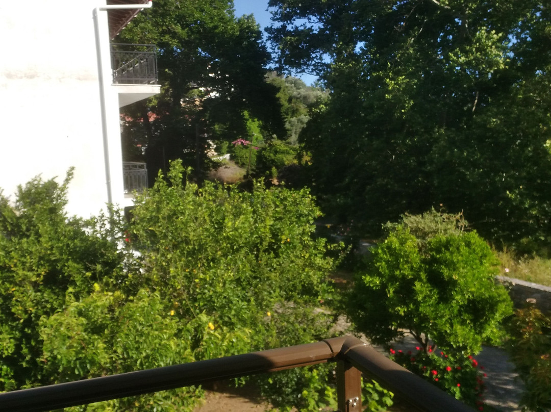 Alekos Rooms and Apartments主图