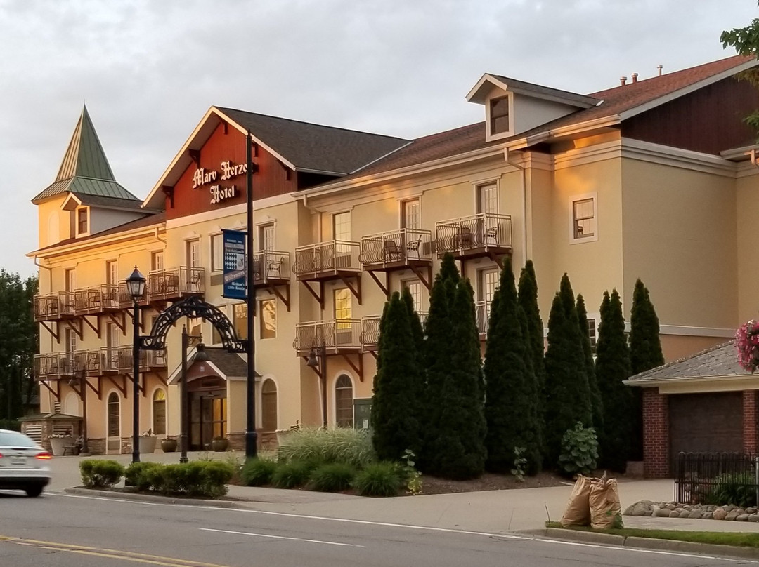 The Marv Herzog Hotel主图