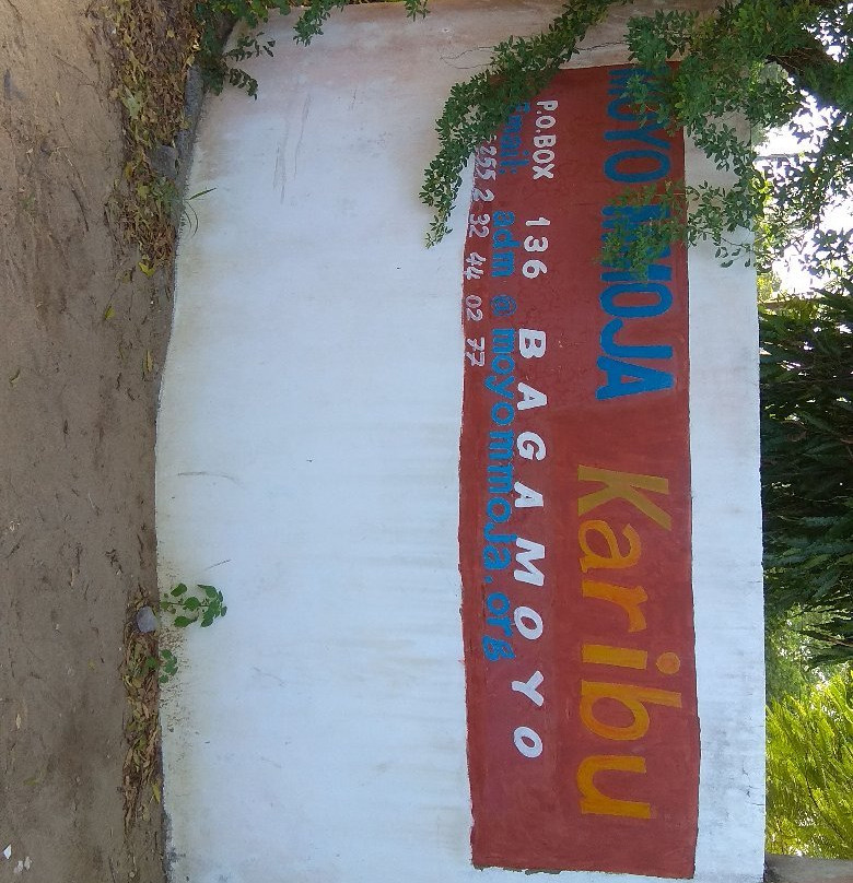 Moyo Mmoja Guesthouse主图