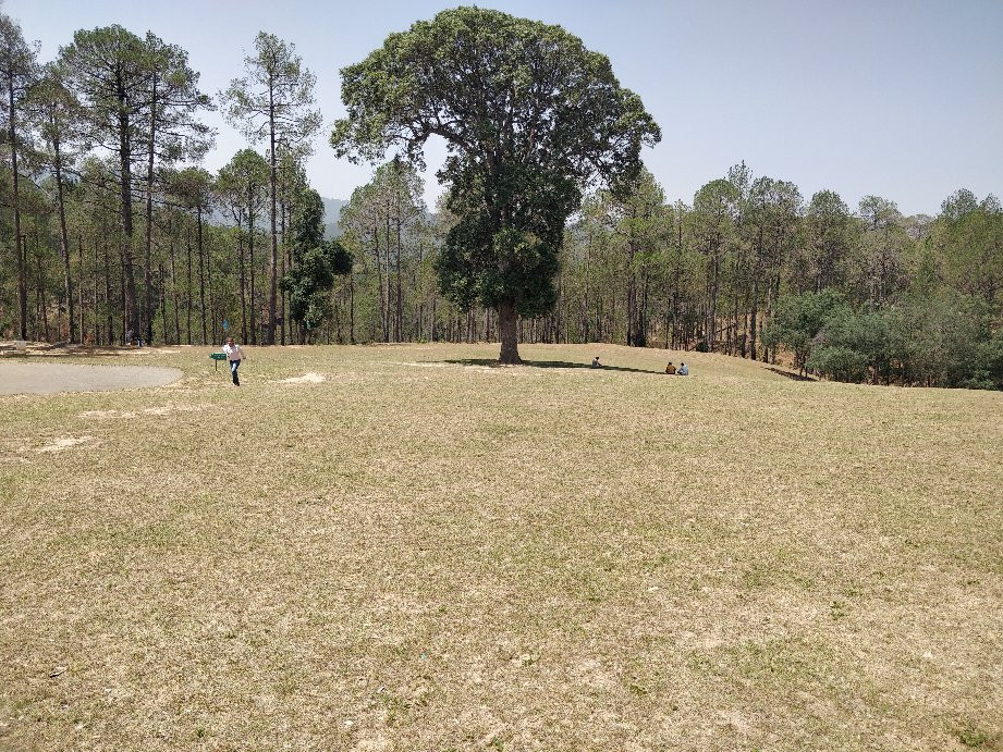 Golf Ground Ranikhet景点图片