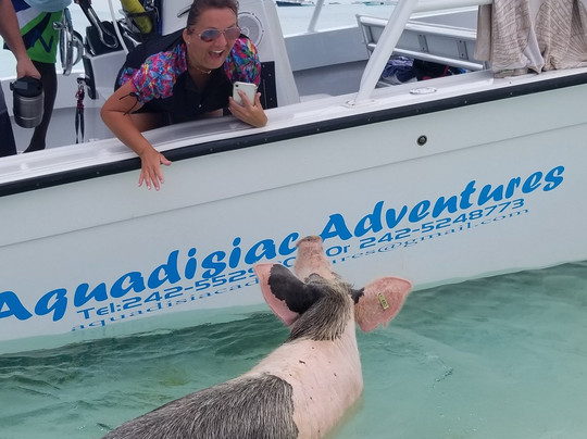 Aquadisiac Adventures-大埃克苏马必去景点