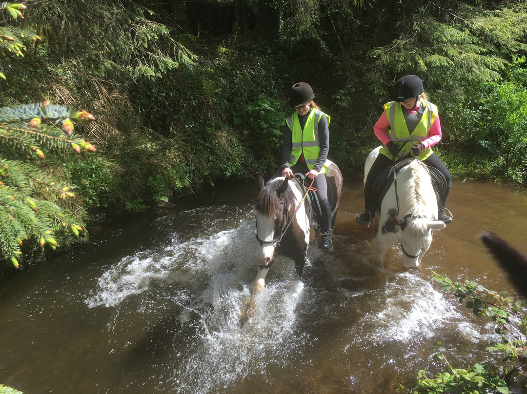 Bantry Pony Trekking景点图片