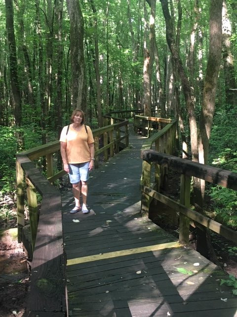 Cypress Grove Nature Park-Jackson必去景点