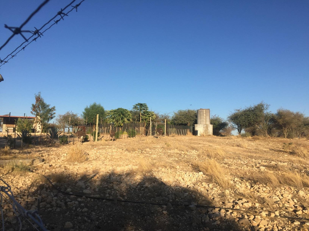 Etotongwe Lodge主图