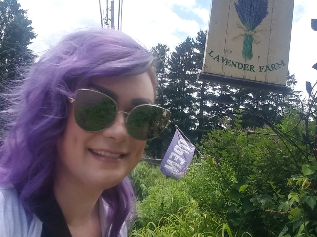 Peace Valley Lavender Farm景点图片