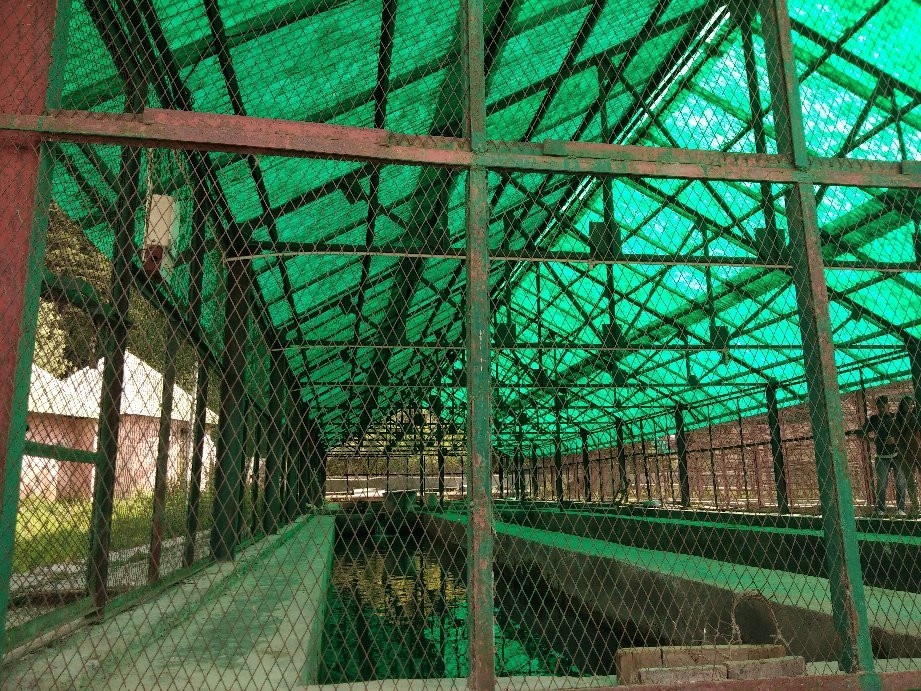 Trout Farm-Sangla必去景点