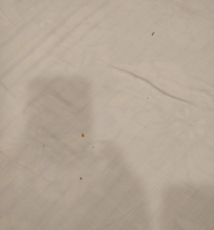 Malpani Club and Resort主图