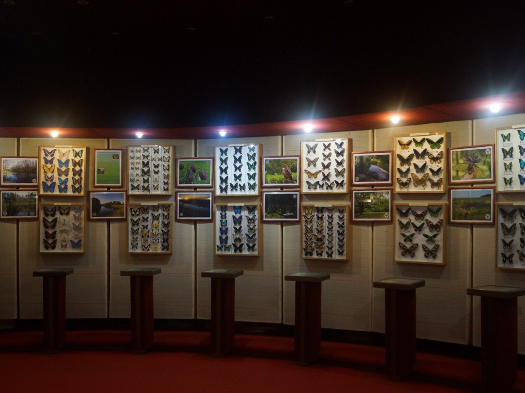 Voronezh Regional Local Lore Museum景点图片