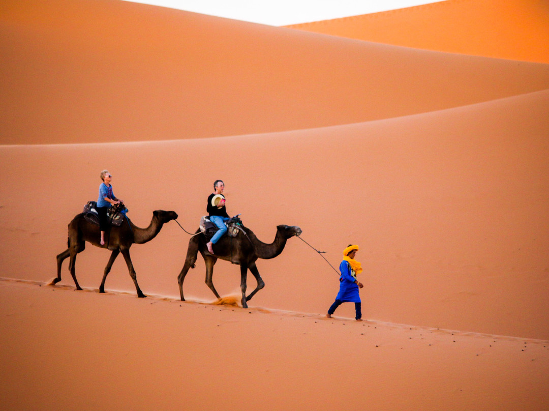 Camel Trophy Tours-瓦尔扎扎特必去景点