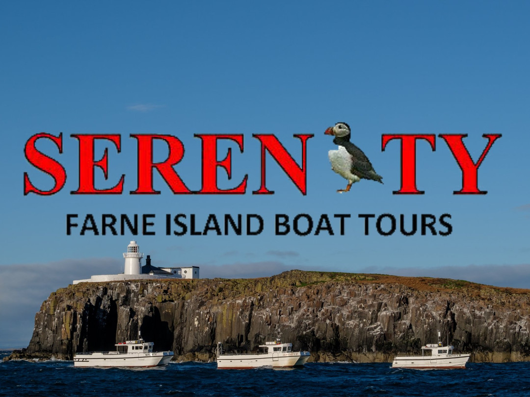 Serenity Farne Island Boat Tours景点图片