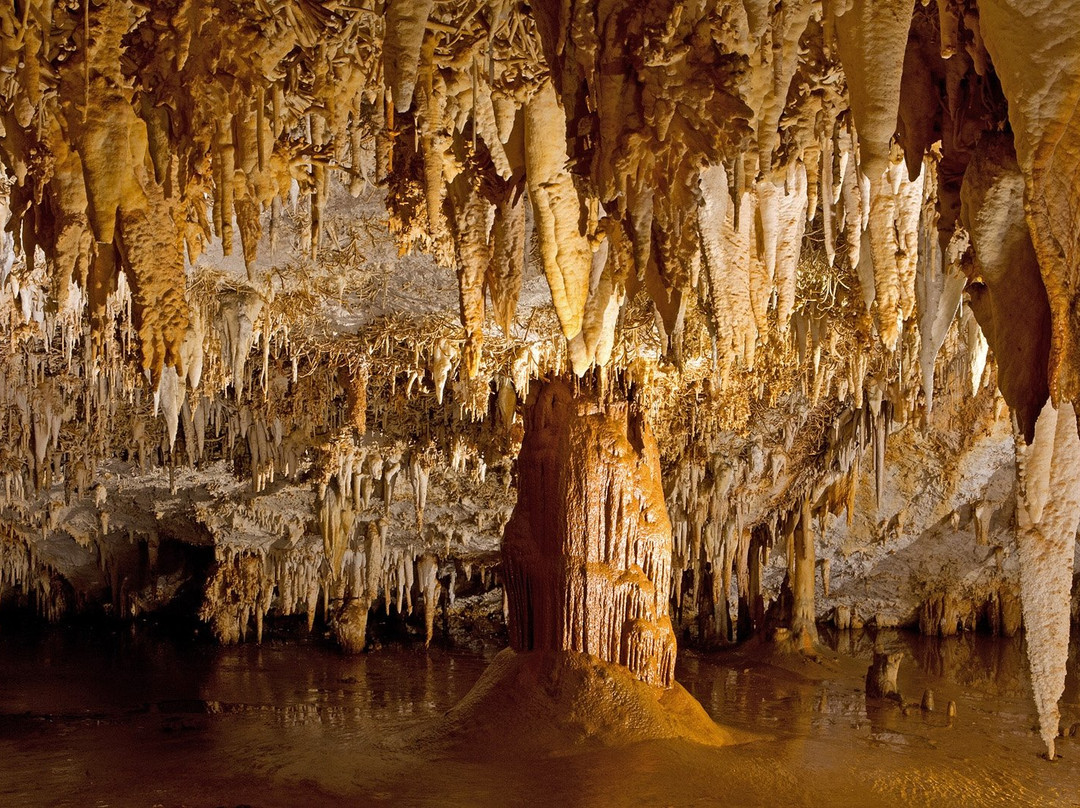 Cueva de Pozalagua景点图片