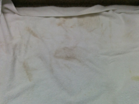 Travelodge by Wyndham Ozona主图