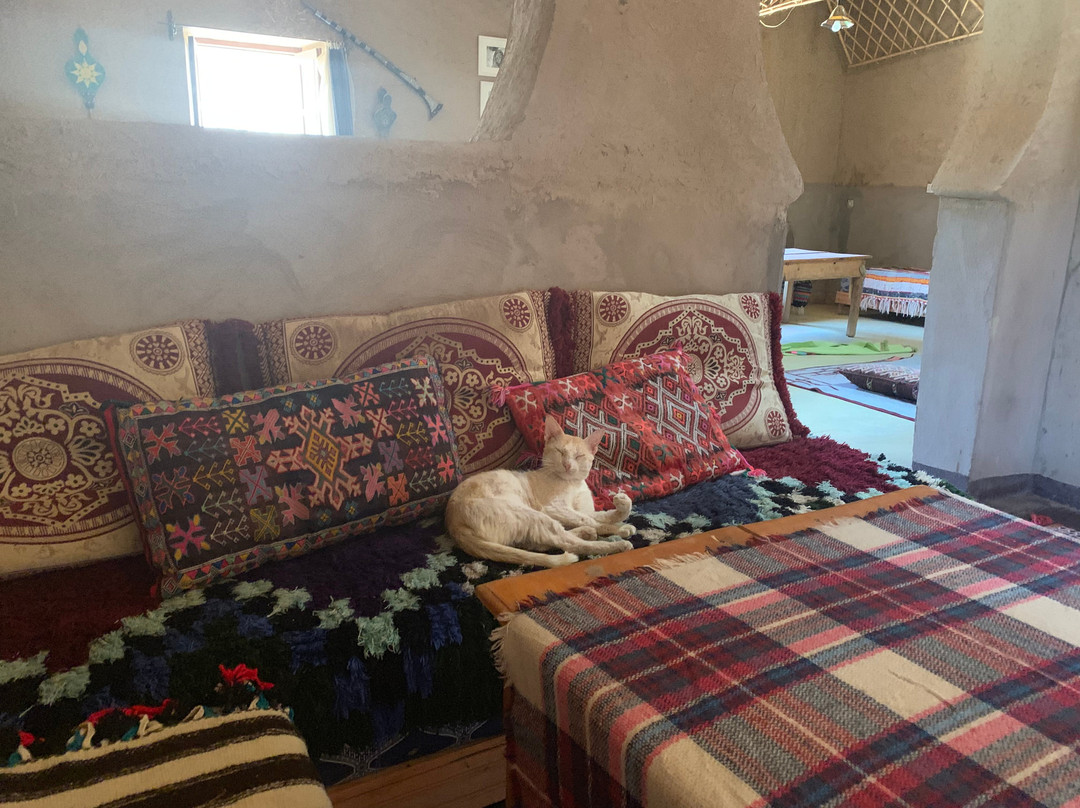 Wilderness Lodge Tours主图