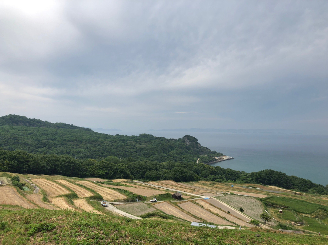 Teshima Terraced Rice Field Project景点图片