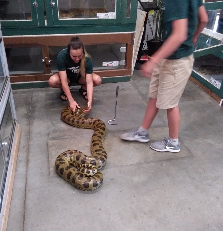 Scales and Tails Utah-西瓦利城必去景点