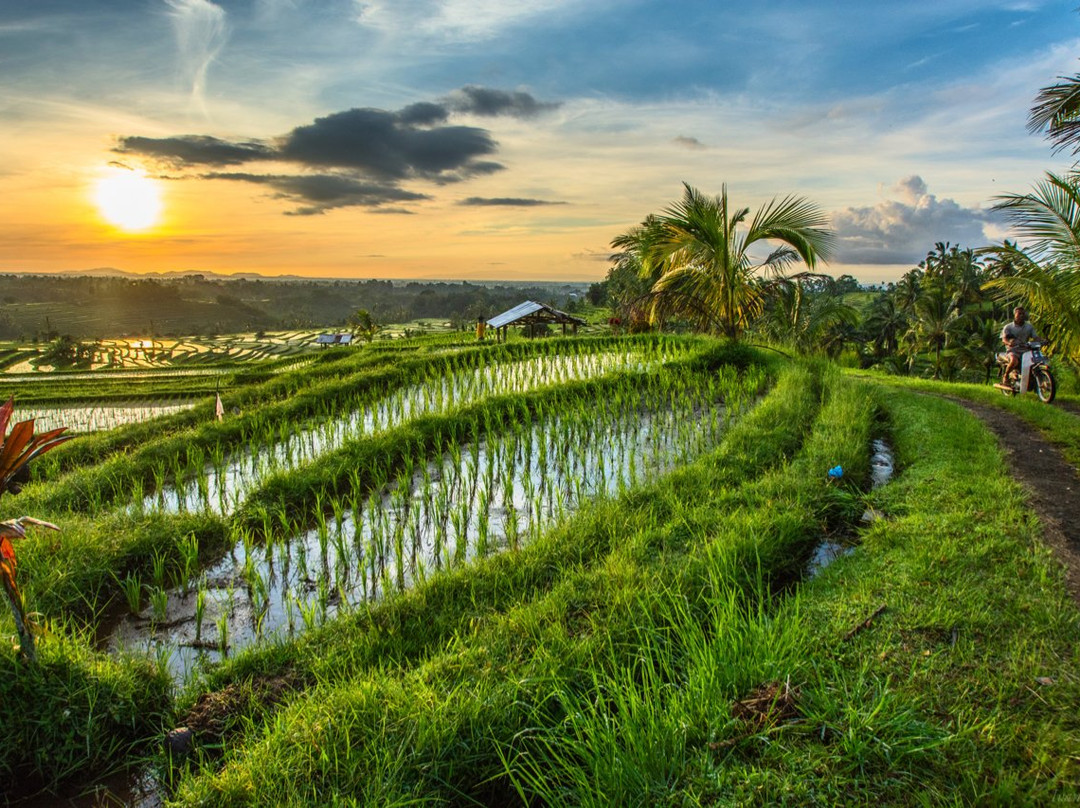Bali Countryside景点图片