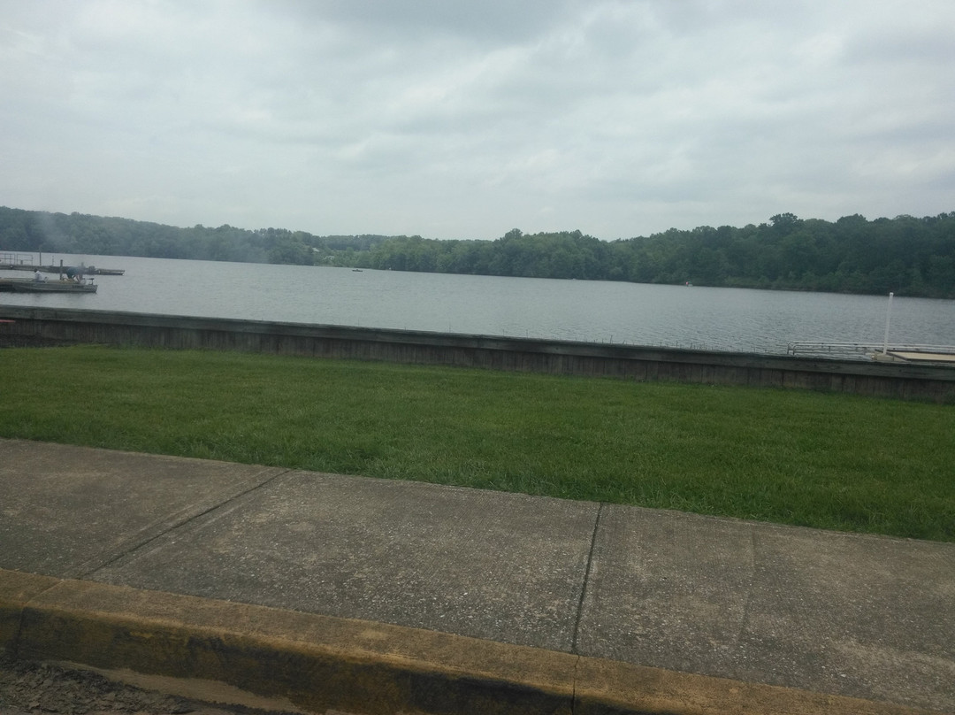 Piney Run Park景点图片