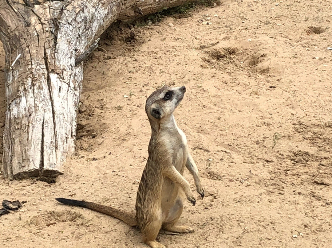 Almaty Zoo-阿拉木图必去景点
