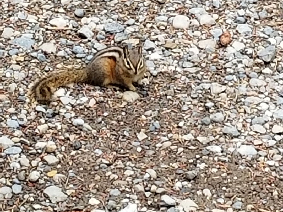 Bow Valley Provincial Park-卡那那斯基斯必去景点
