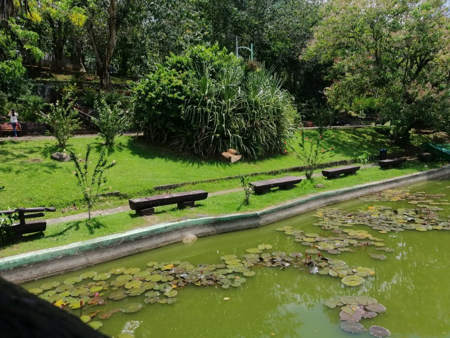 Albay Park and Wildlife-雷加斯皮必去景点