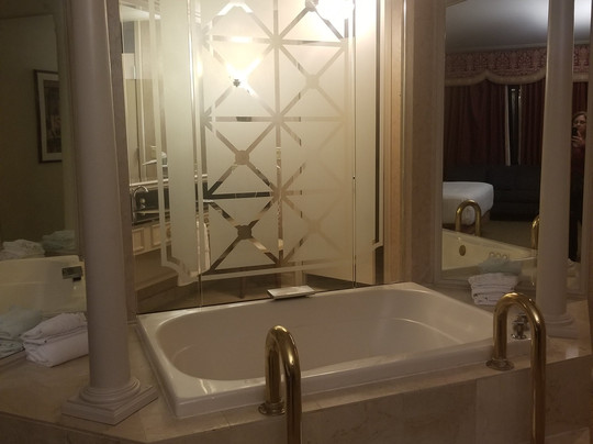 Hollywood Casino Tunica Hotel主图