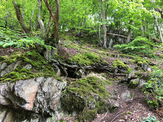 Neanderland Steig-Mettmann必去景点