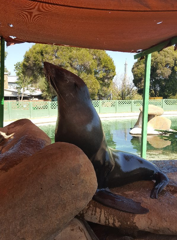 Hartbeespoort Aquarium景点图片